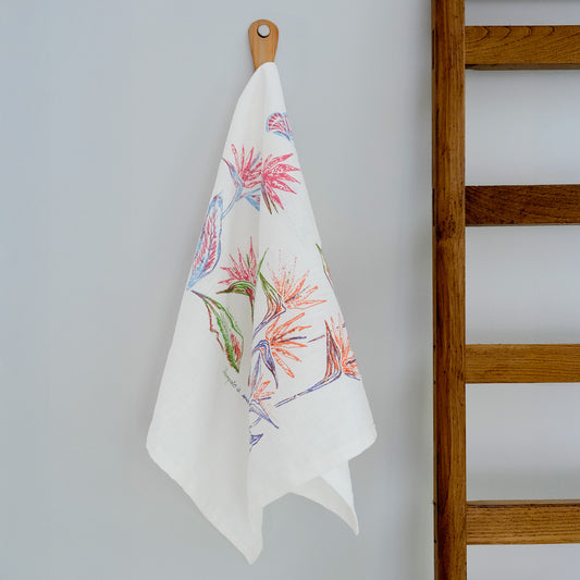 Strofinaccio Strelitzia